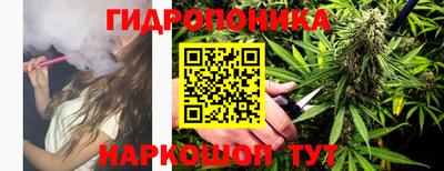 гидропоника Коммунар